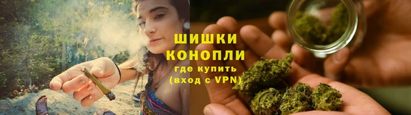 шишки Магадан