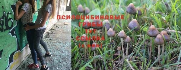СК Майский
