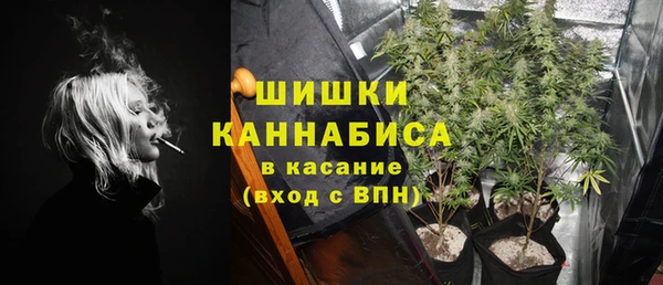 шишки Магадан