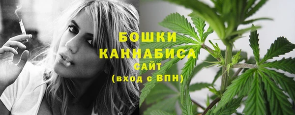 шишки Магадан