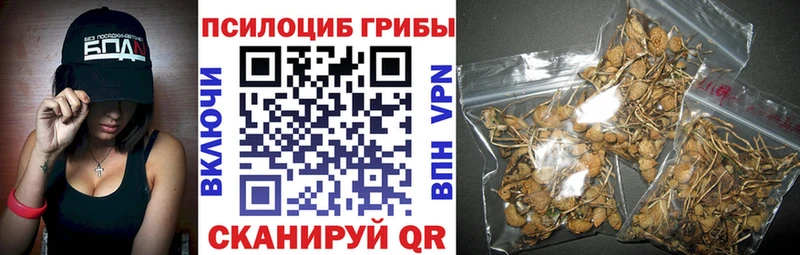 Галлюциногенные грибы прущие грибы  Южа 
