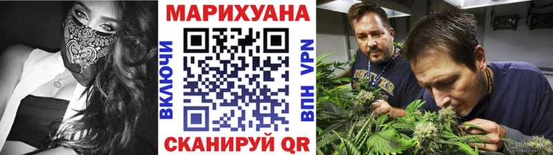 Шишки марихуана Bruce Banner  хочу   Южа 